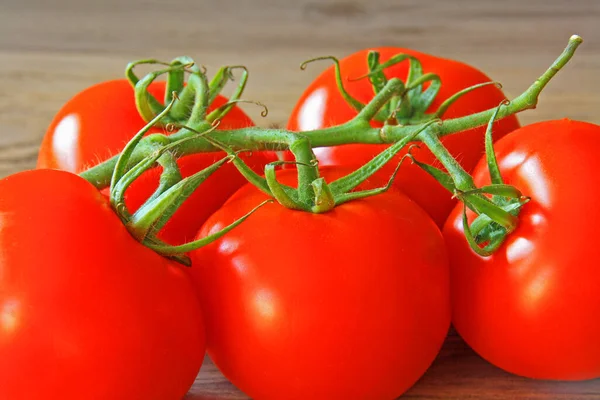 Red Ripe Tomatoes Close — Stock Photo, Image