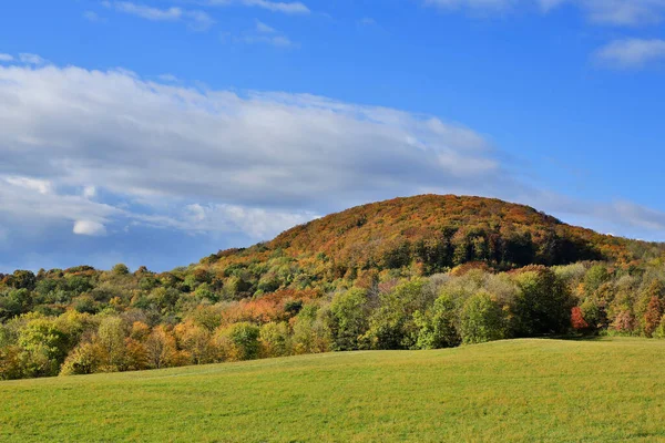 秋の風景カレンバーグの牧草地のあるウィーンの森 — ストック写真