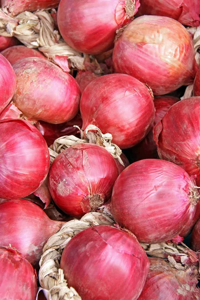 Oignons Rouges Marché Fermier — Photo