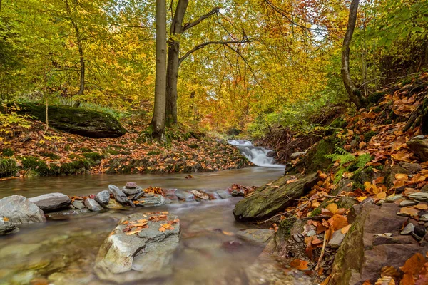 Bella Vista Della Scena Della Natura — Foto Stock