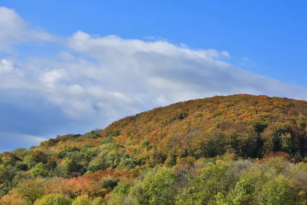 Floresta Outono Paisagem Outubro Sob Céu Azul — Fotografia de Stock