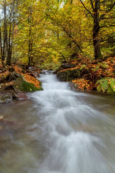 Krásný Výhled Krajinu Přírody — Stock fotografie