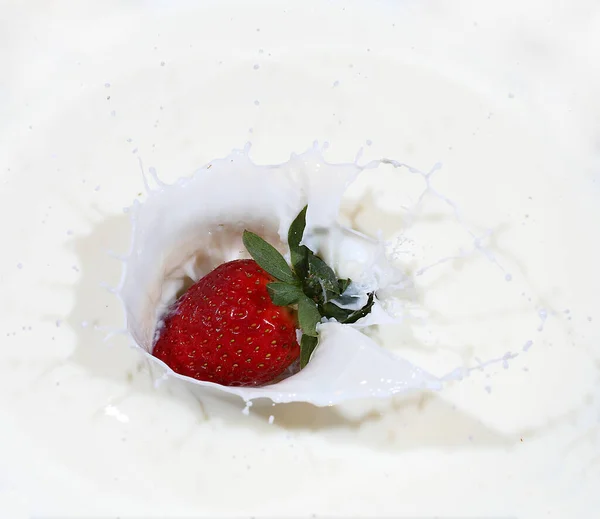 白を基調としたミルクスプラッシュのストロベリー — ストック写真