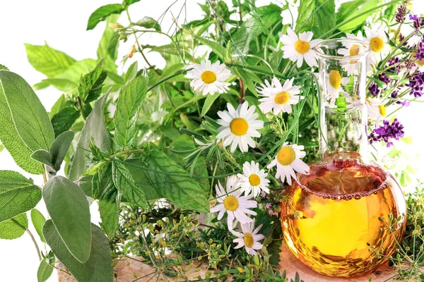 Homeopatía Con Hierbas Plantas Medicinales — Foto de Stock