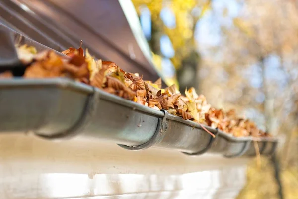 Leaves Gutter — Stock Photo, Image