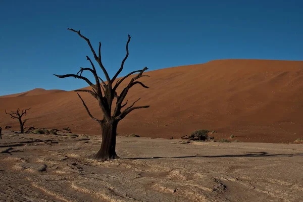 Blick Auf Die Wüstenlandschaft Namibia — Stockfoto