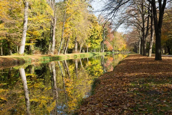 Park Podzim Listnatý Strom Odrazem Vodě — Stock fotografie