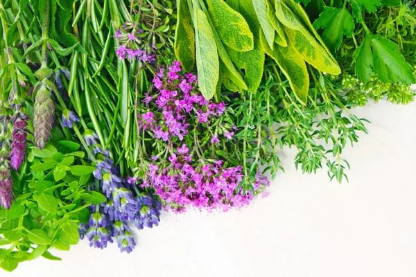 Friss Fűszernövények Virágok Fehér Alapon — Stock Fotó