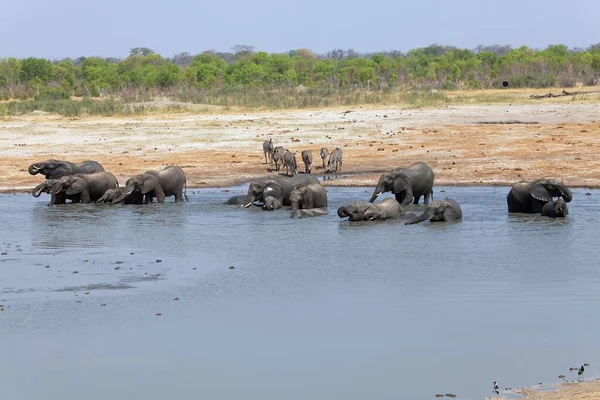 Parque Nacional Hwange — Foto de Stock