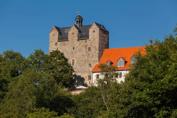 Malowniczy Widok Majestatycznej Średniowiecznej Architektury Zamku — Zdjęcie stockowe