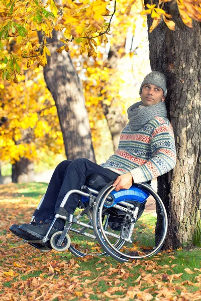 Belle Femme Fauteuil Roulant Automne — Photo