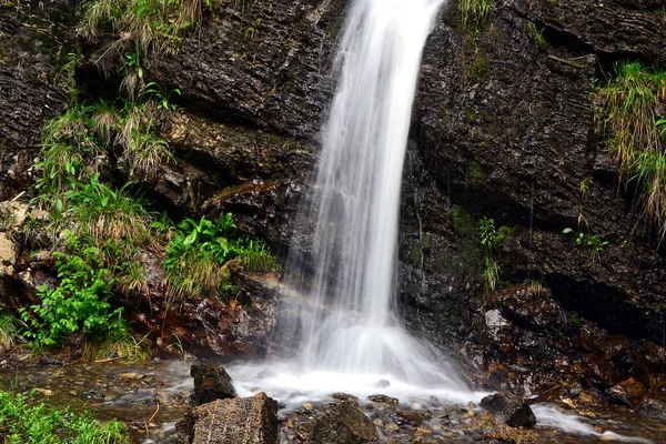 Hermosa Cascada Sobre Fondo Naturaleza — Foto de Stock