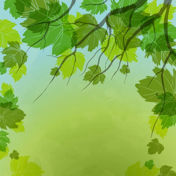 Frische Grüne Blätter Auf Nüchternem Hintergrund Vektorillustration Eps — Stockfoto