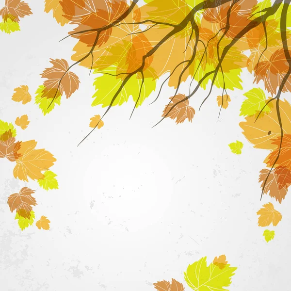 Fundo Outono Com Folhas Ilustração Vetorial Eps — Fotografia de Stock
