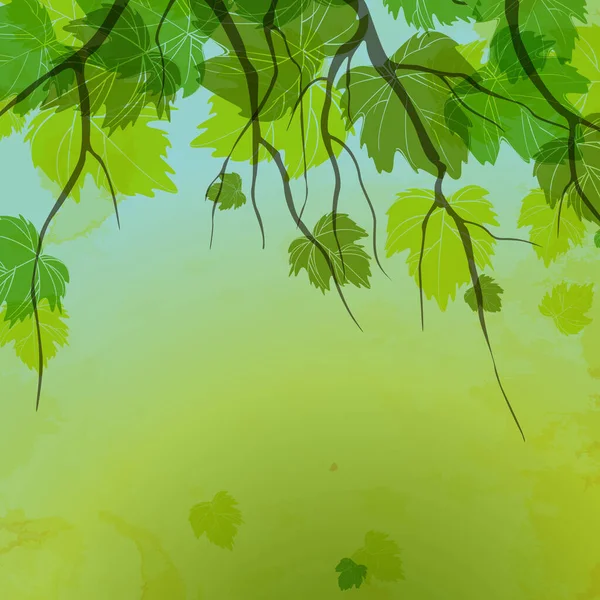 Φρέσκα Πράσινα Φύλλα Στο Φυσικό Φόντο Εικονογράφηση Διανύσματος Eps — Φωτογραφία Αρχείου