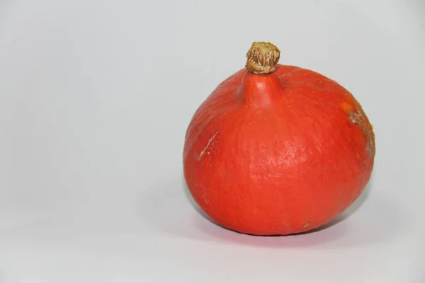 Red Pumpkin White Background — Stock Photo, Image