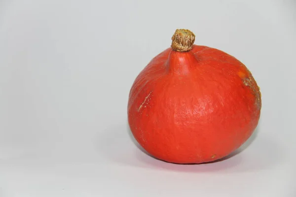 Calabaza Roja Sobre Fondo Blanco —  Fotos de Stock