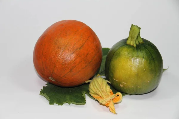 Calabaza Hojas Otoño Sobre Fondo Blanco —  Fotos de Stock