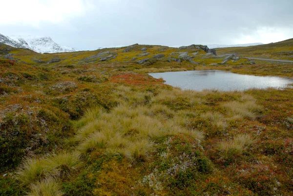 Norvegia Sfondo Paesaggio Naturale — Foto Stock