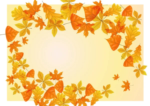 Herfst Achtergrond Met Bladeren Vector Illustratie Eps — Stockfoto