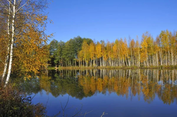 Bela Paisagem Natureza Fundo — Fotografia de Stock