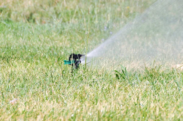 Sprinkleranlage Bewahrt Rasen Vor Dem Austrocknen — Stockfoto