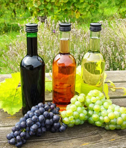 Botellas Vino Uvas — Foto de Stock