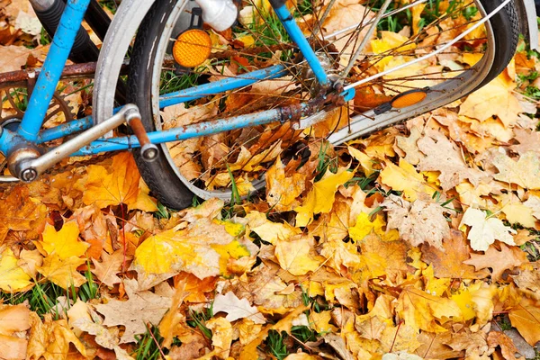 Złamane Koło Roweru Jesiennych Liściach Berlinie — Zdjęcie stockowe
