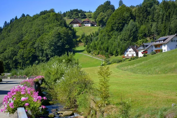 Black Forest Oberharmersbach Farm Slope — Stock Photo, Image