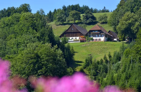 Schwarzwald Oberharmersbach Bauernhof Hang — Stockfoto