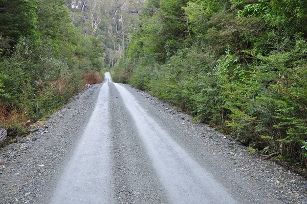 Road Rainforest — Stock Photo, Image