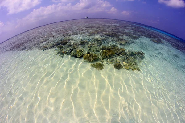 Vacanza Sogno Nell Isola Maldive — Foto Stock