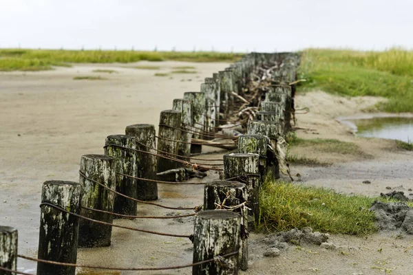 Picturesque View Outdoor Scene — Stock Photo, Image