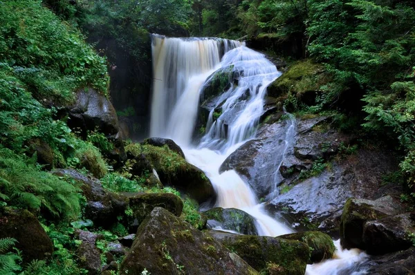 Vista Mística Cachoeira Triberg — Fotografia de Stock