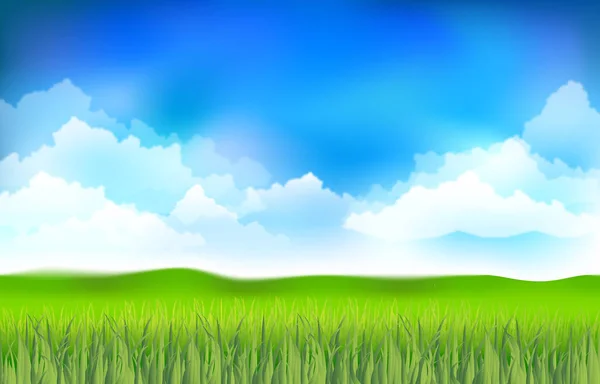 緑の草と空 — ストック写真