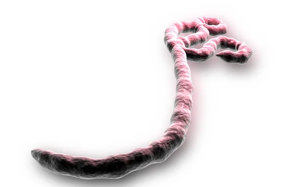 Digitale Illustration Des Ebola Virus Farbigen Hintergrund — Stockfoto
