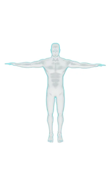 Digital Illustration Human Body Colour Background — Stock Photo, Image