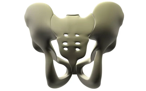 Ψηφιακή Απεικόνιση Πυελικής Ζώνης Έγχρωμο Φόντο — Φωτογραφία Αρχείου