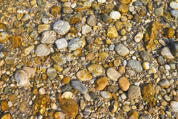 Wet Pebbles Riverside Background — Stock Photo, Image