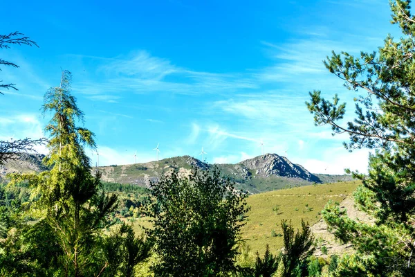 Blick Auf Die Berge Den Karpaten — Stockfoto