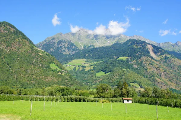 Texel Group South Tyrol Parcines — стоковое фото