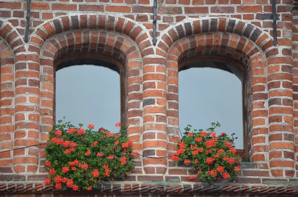 Välvda Fönster Tegelgotisk Byggnad — Stockfoto