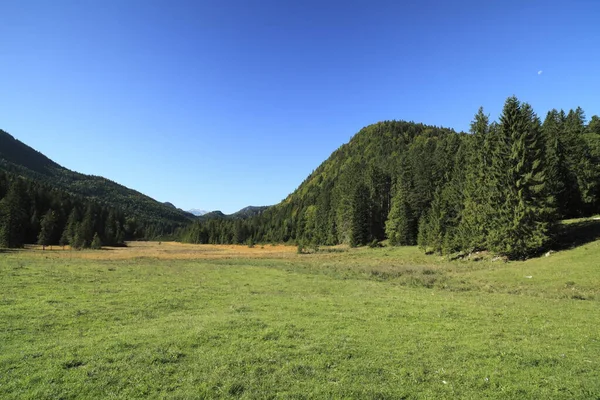 Piękny Widok Scenę Przyrodniczą — Zdjęcie stockowe