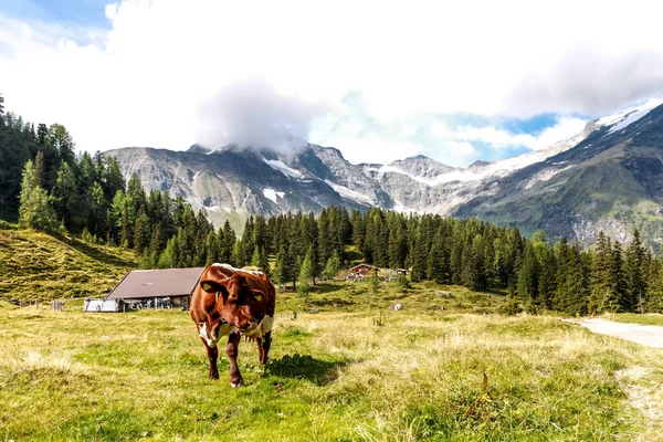 Berglandschaft Den Alpen — Stockfoto