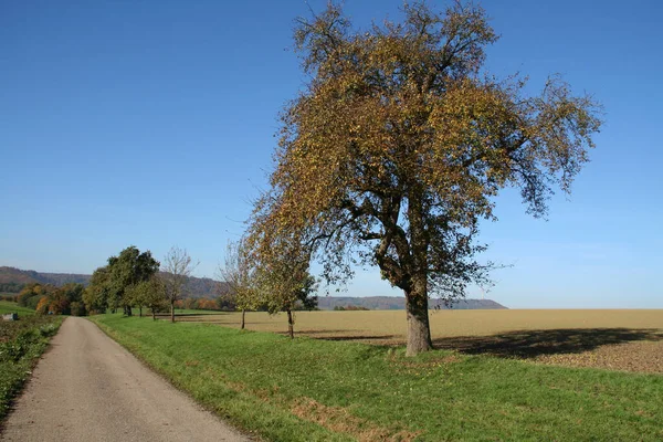 Idilliaco Paesaggio Autunnale Rurale Nella Germania Meridionale — Foto Stock