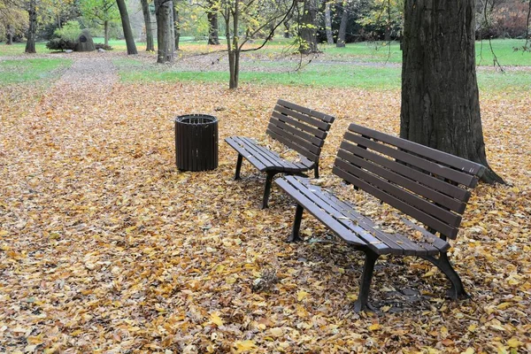 Bänke Herbst Park — Stockfoto