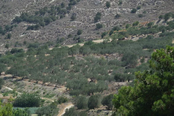 Blick Auf Die Unglaublichste Landschaft — Stockfoto