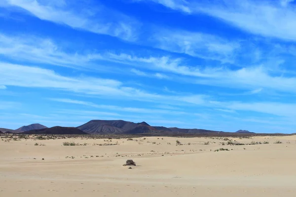 Dunes Natural Park Corralejo Fuerteventura — Stock Photo, Image