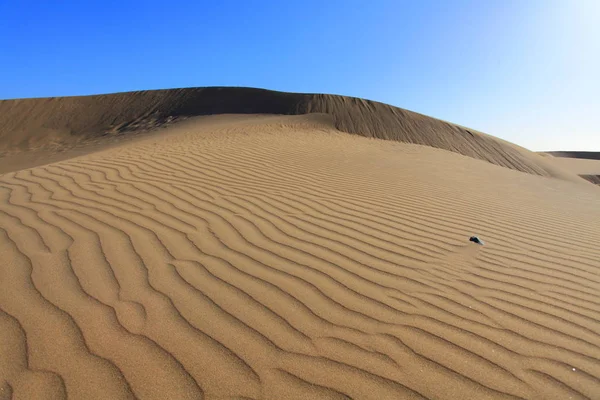 Scenic View Dunes Selective Focus — Stock Photo, Image