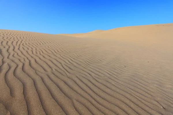 Vue Panoramique Des Dunes Mise Point Sélective — Photo